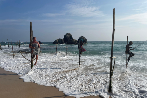 Galle Fort, Sea Turtles & Jungle Beach Private Day Tour