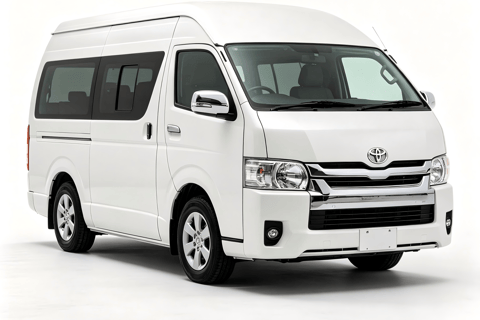 Tokyo: Narita Airport (NRT) Private Transfer to/from Hotel Arrival Transfer from Narita Airport to Hotel (90mins)