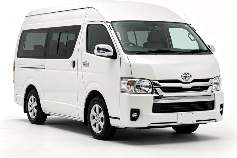 Tokyo: Narita Airport (NRT) Private Transfer to/from Hotel Arrival Transfer from Narita Airport to Hotel (90mins)