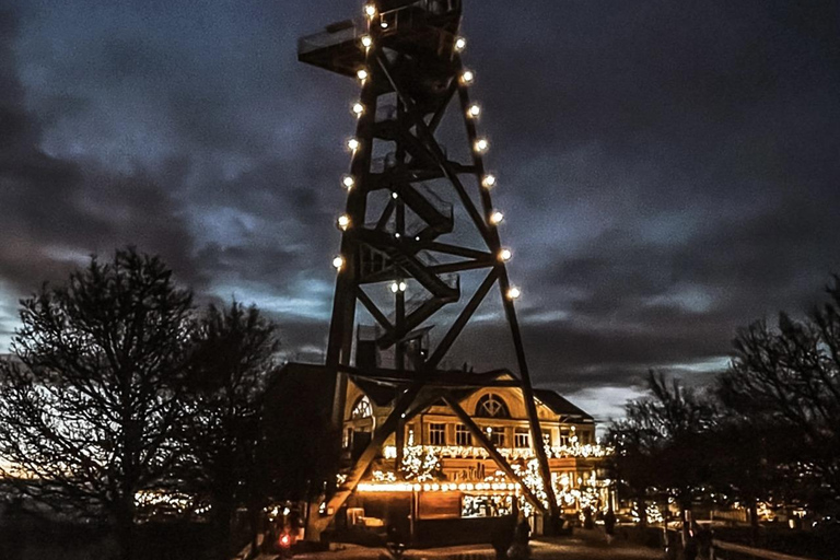 Zurich: Raclette Experience at Uetliberg, Zurich's Viewpoint