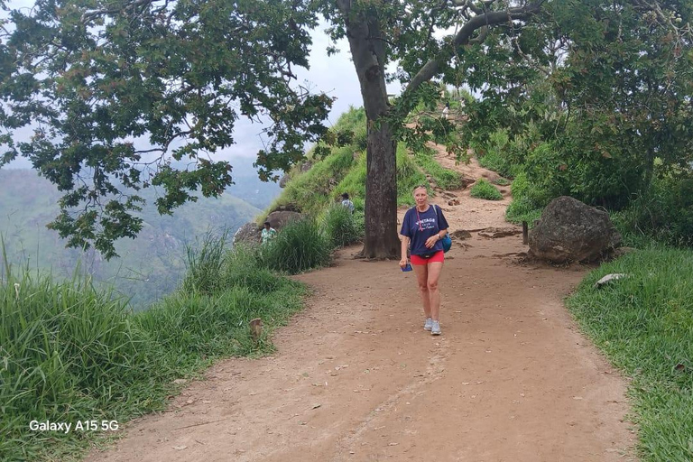 ELLA Lipton Seat Tea Test & Pluck 9Arch, Waterfalls, & Food Lipton's Seat, Little Adam Peak, 9 Arch, Ravana Waterfalls