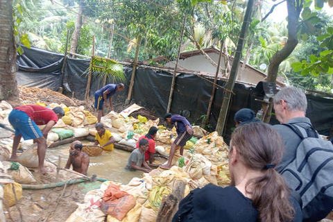 Colombo: Rathnapura Gem Mining Tour with Lunch