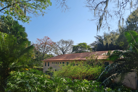 Rio de Janeiro: Sítio Roberto Burle Marx: tour guiado