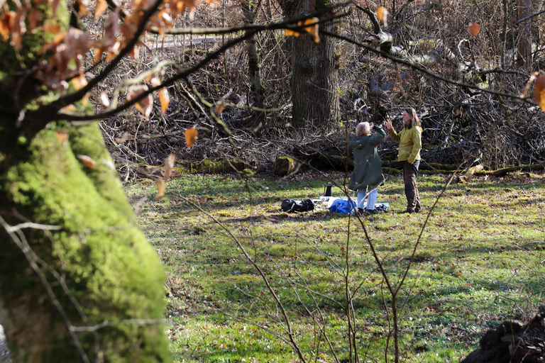 Lund: Dalby Söderskog National Park Guided Hike with Lunch