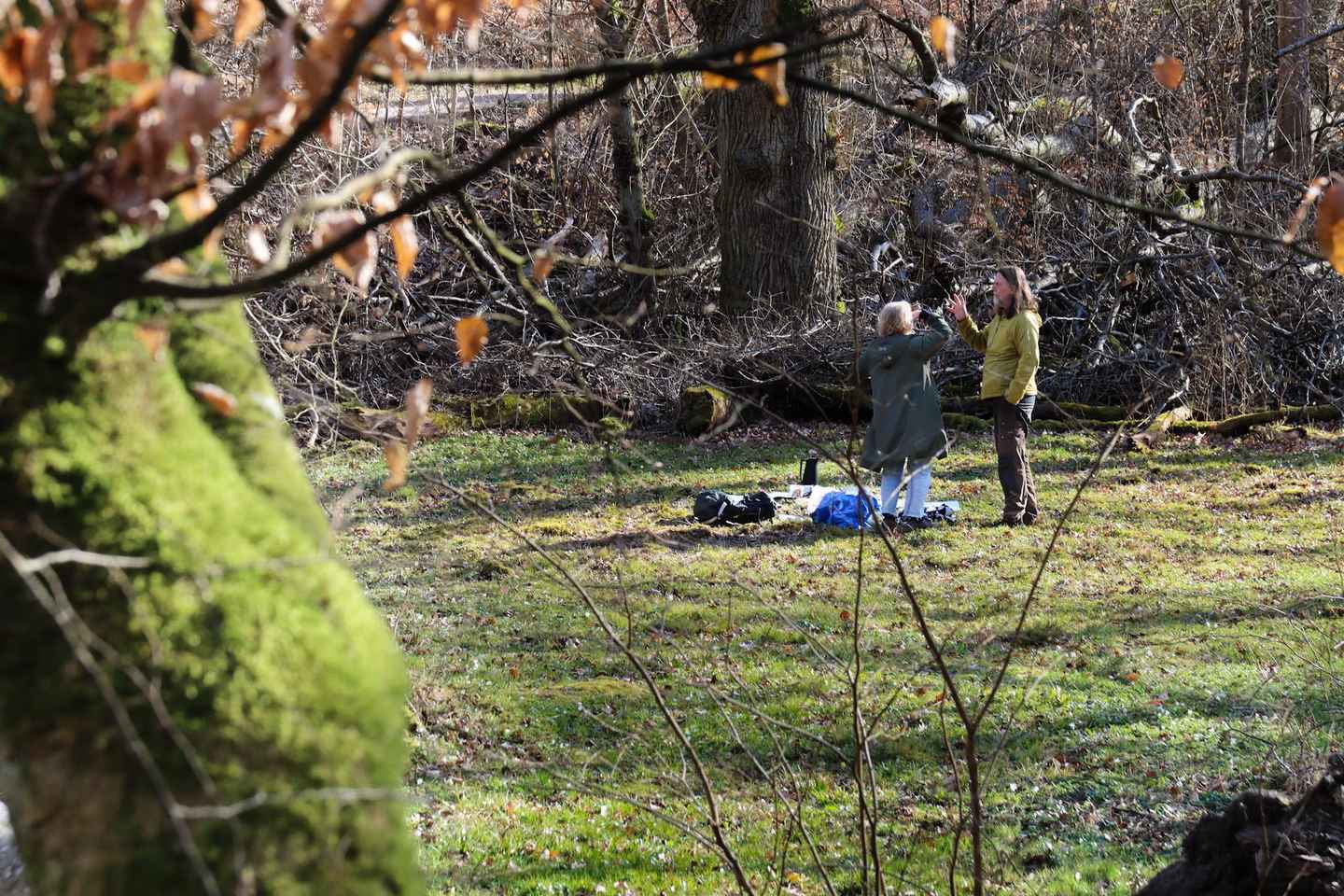 Skåne: guided hike in national park incl lunch close to Lund