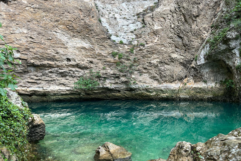 Japanischsprachiger Guide im Luberon