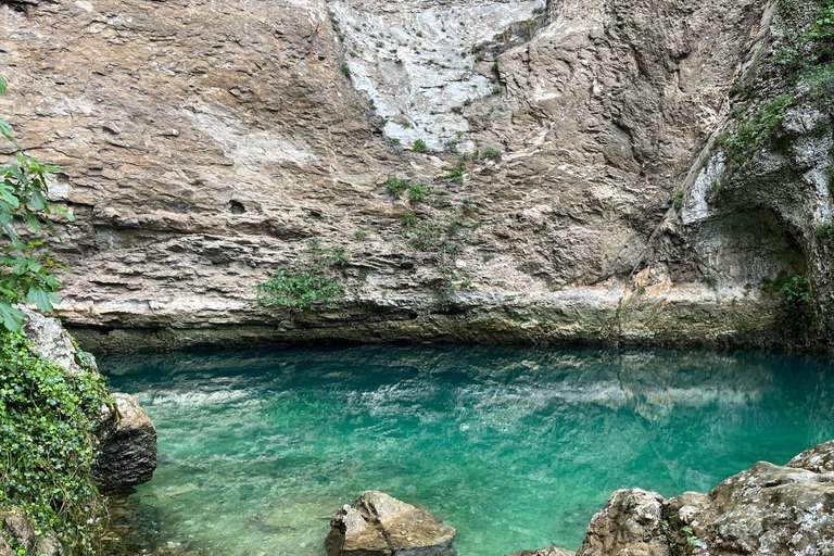 Guía de habla japonesa en el Luberon