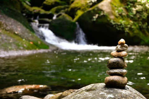 Santos: Waterfall Hike and Boat Ride at the Rain Forest from Sao Paulo: Waterfall Hike and Boat Ride at the R Forest