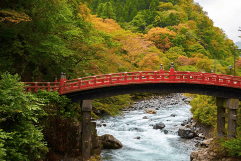 Tokyo: Nikko Private Customized Tour English Driver & Guide From Tokyo: Nikko Private Customized Tour With English Guide