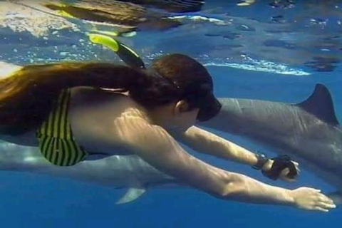 Wycieczka z delfinami Mnemba, las Jozani i restauracja The RockMiejsce zbiórki wyłącznie w Mnemba Transfer Point