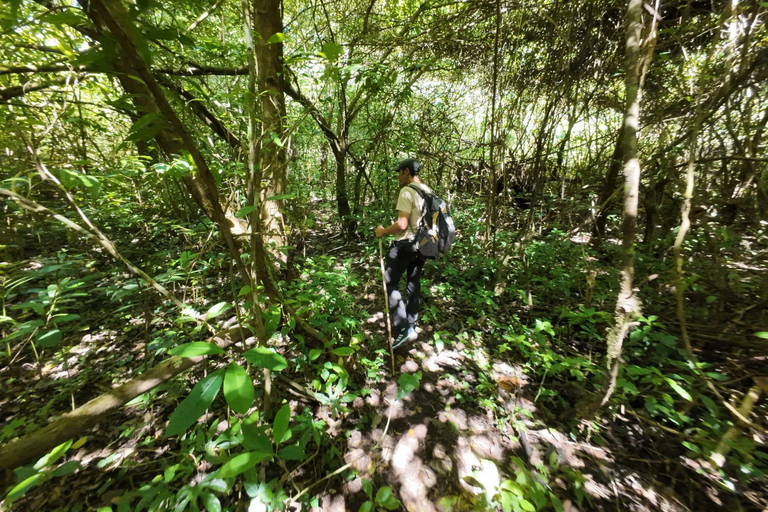 Munduk: Djungelvandring med kanot och vattenfall vid tvillingsjöarnaFrån Munduk-området : Privat tur