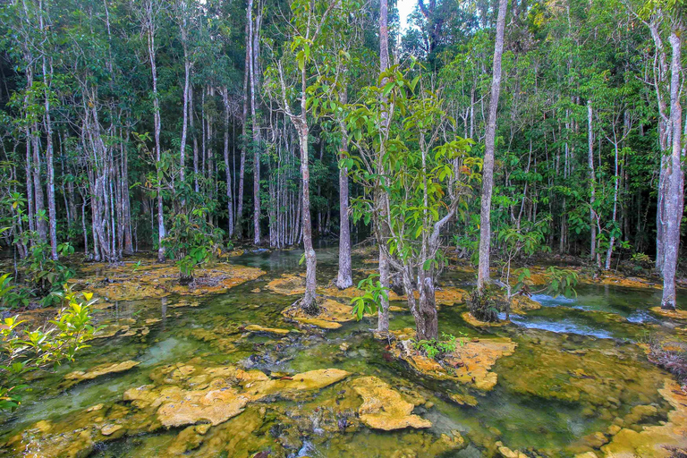 L&#039;esplorazione dell&#039;Outback di Krabi fino alla Piscina di Smeraldo e alla sorgente termale di Wareerak