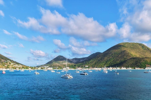 Saint Martin: Boat excursion between beaches, lagoon, and a stop at Maho