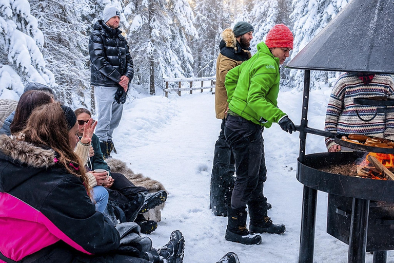 Rovaniemi: Korouoma Canyon & Frozen Waterfalls Tour ⭐ Korouoma Premium | 7h | Small Group | BBQ & Photos