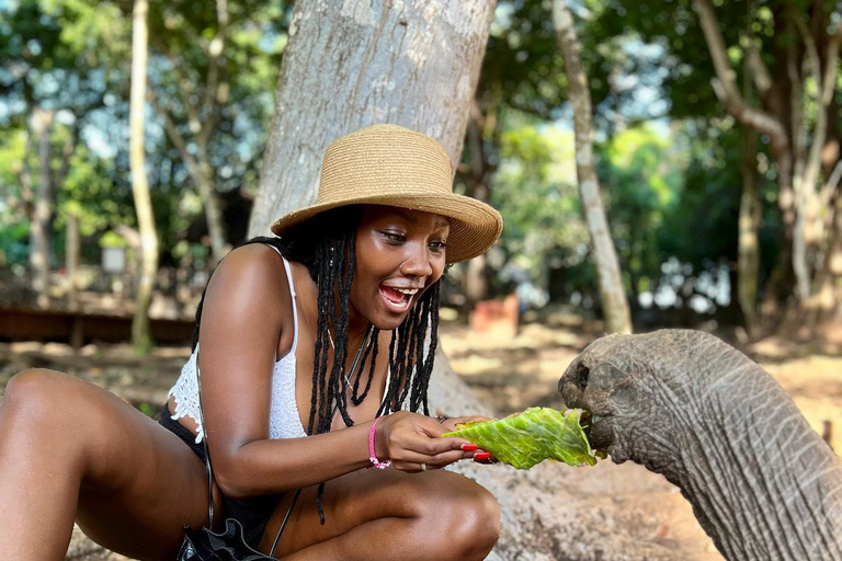 Ciudad de piedra y prisión Isla