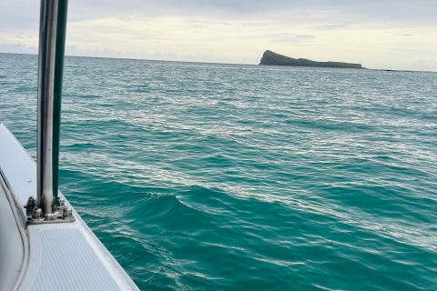 Schnorcheln: Coin de Mire im Schnellboot auf der Nordinsel MauriceSchnorcheln mit dem Speedboot