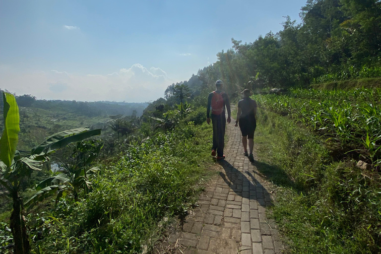 Selogriyo Temple with rice terrace trekking