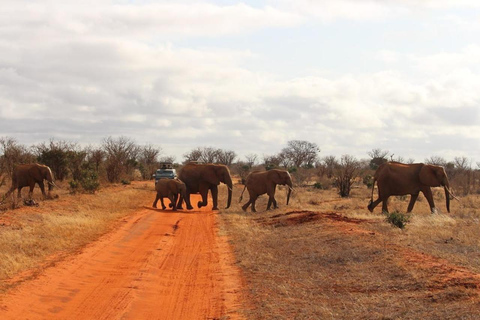 Mombasa: Safari de 4 días a Tsavo Este, Tsavo Oeste y Amboseli