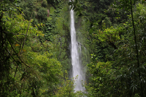 Pucón: El León Hot Springs and Waterfalls From Pucón: El León Hot Springs and Waterfalls