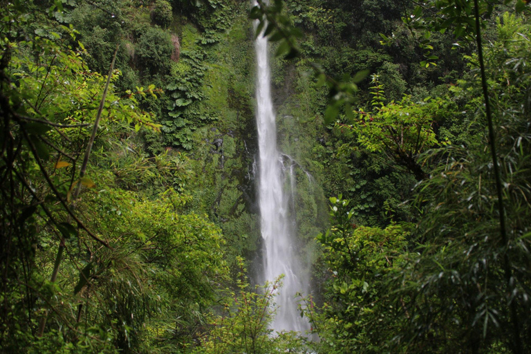 Pucón: El León Hot Springs and Waterfalls From Pucón: El León Hot Springs and Waterfalls