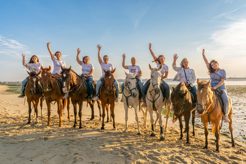 Passeios a cavalo na praia - PDTPasseios a cavalo na praia em grupo