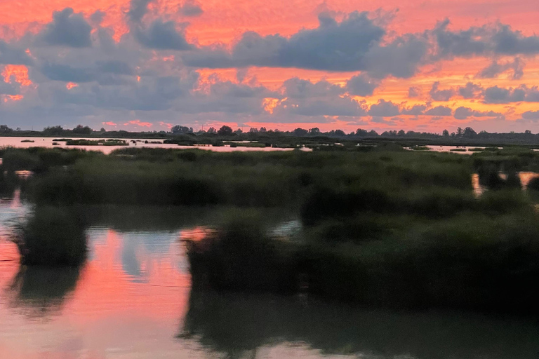 地拉那：莱什观光、烹饪课和拉克酒品鉴