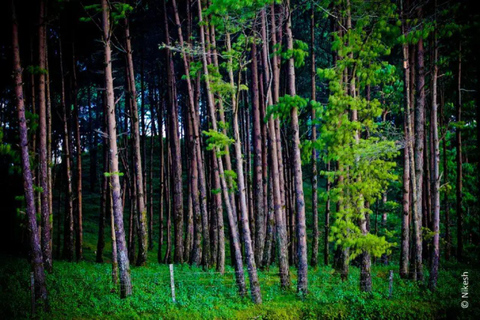 From Kathmandu: 3D/2N Luxury Chisapani Nagarkot Trek