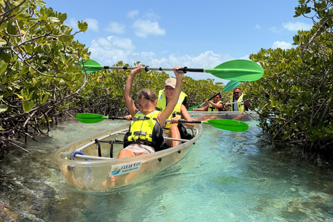 Providenciales Mangrove Kayak Tour With Turtle Sightings