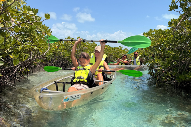 Providenciales Mangrove Kayak Tour With Turtle Sightings