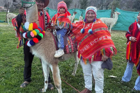 Ollantaytambo: Guided Llama Walk with Farm Visit