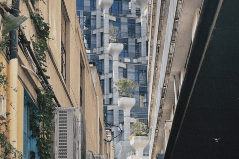 Shanghai: Food-Making Class and M50 Art District Tour Xiaolongbao Cooking Experience Private Course