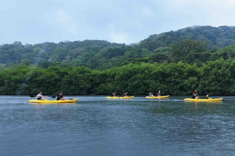 Panama City: Portobelo Jungle, Reef & Venas Azules Tour