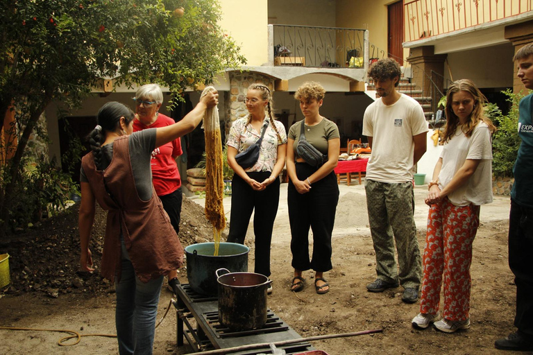 Oaxaca: Zapotec Wortels, Mezcal en Textiel Tour