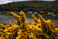 De Glasgow, une journée sur l'île d'Arran avec entrée - Hizvo