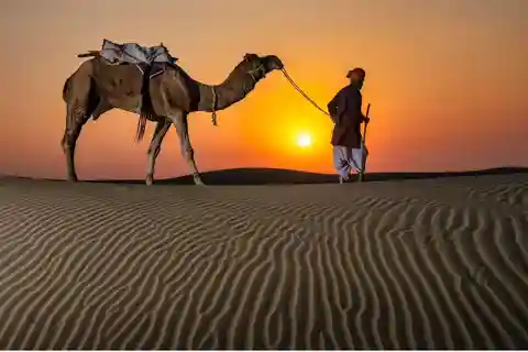 Doha Night Desert Safari Stargazing And Camel Ride