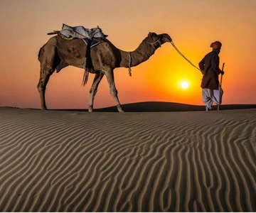 Doha Night Desert Safari Stargazing And Camel Ride