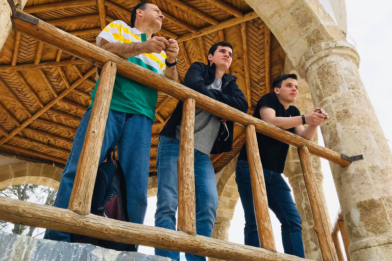 Rondleiding &quot;Parras de la Fuente&quot;, met gids, transfer en tickets