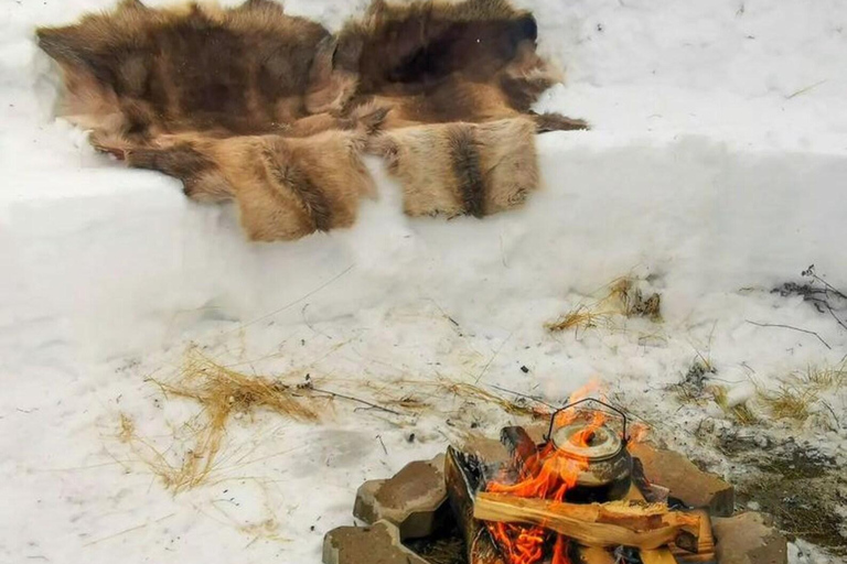 Tromsö: Snösläde med renskinn och varma drycker.