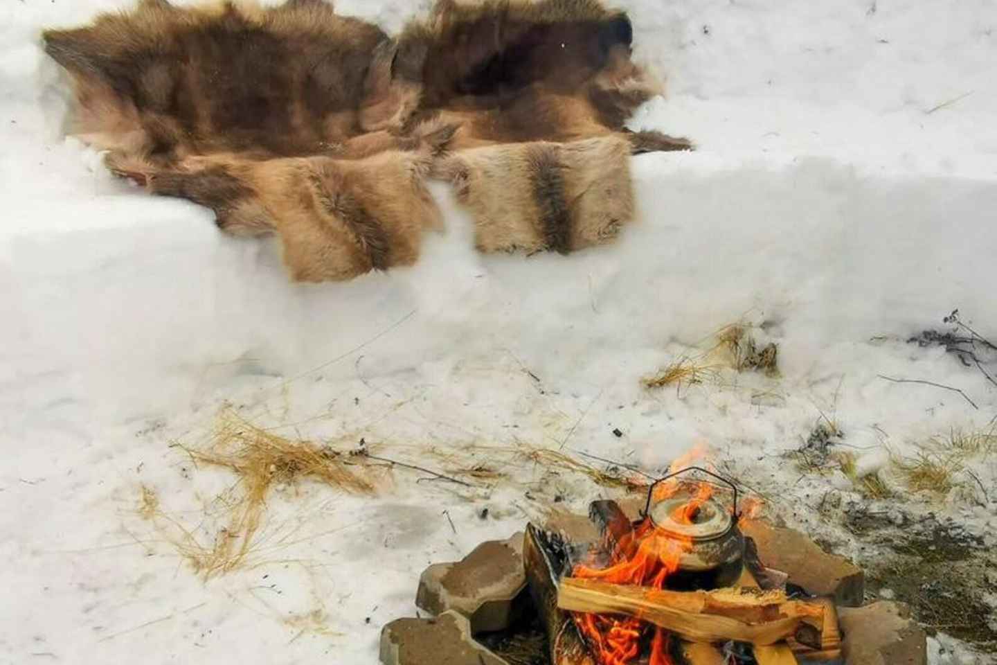 Tromsø Arctic Adventure: Sledging, Lasso, mini skis & More