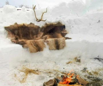 Tromsø: Snow Sledding, Mini Skiing, Lasso and Reindeer Hides