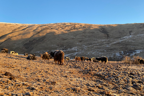 Khuvsgul Lake & Tsaatan Reindeer Herders Tour