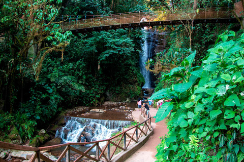 Rio Tigre - Amazonewateren en junglegeheimen