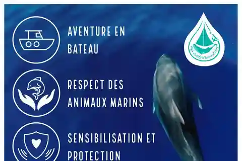 Excursion bateau Marina Baie des Anges vers le Sanctuaire Pelagos