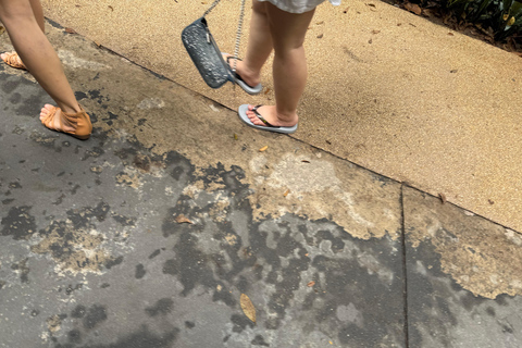 Parc à thème VinWonders et safari à Phu QuocVisite autonome : Vinwonder &amp; Safari Combo