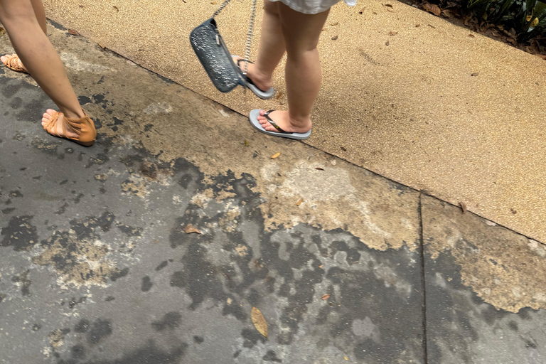 Parc à thème VinWonders et safari à Phu QuocVisite autonome : Vinwonder &amp; Safari Combo