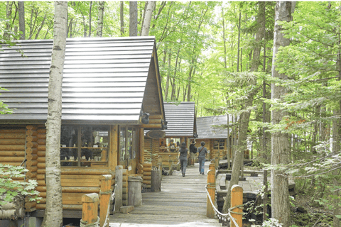 Vanuit Sapporo : Hokkaido Furano Tomita Boerderij Joiner Tour