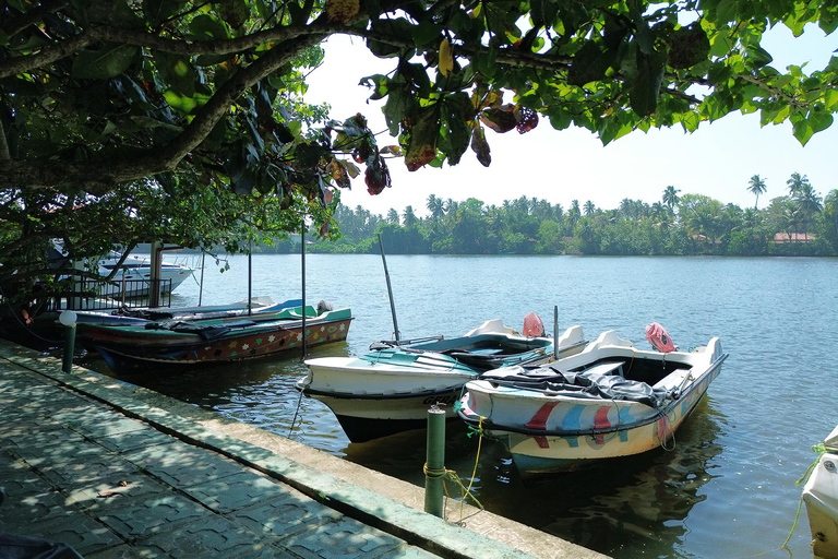 Bentota Jet Ski Ride & Mangrove River Safari Adventure Combo