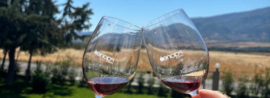 Kavala : visite de vignobles avec dégustations et prise en charge