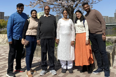 Osaka: Springtime Sakura Picnic "Hanami"