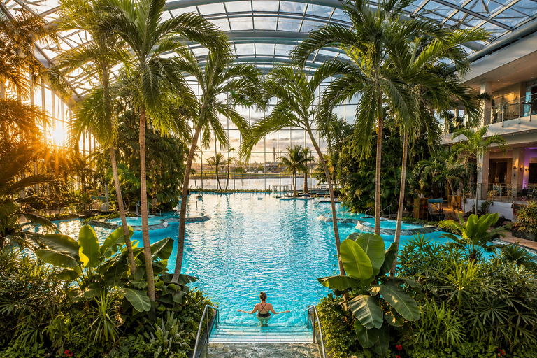 Therme Bucharest Entry Ticket & Round-Trip Transfer